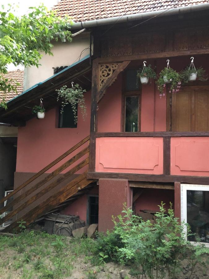 Cezara Apartment Medias Luaran gambar